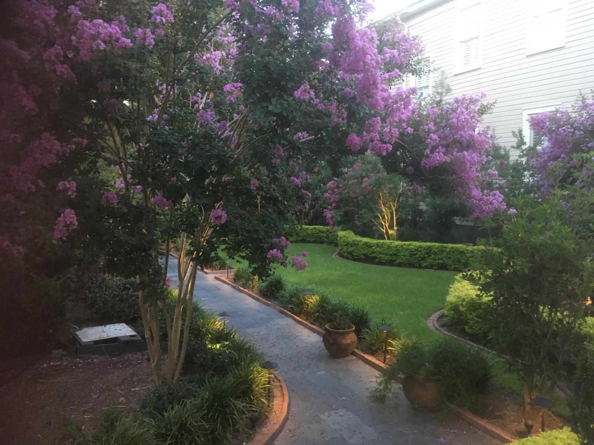 22 Charlotte Bed & Breakfast Charleston Ngoại thất bức ảnh