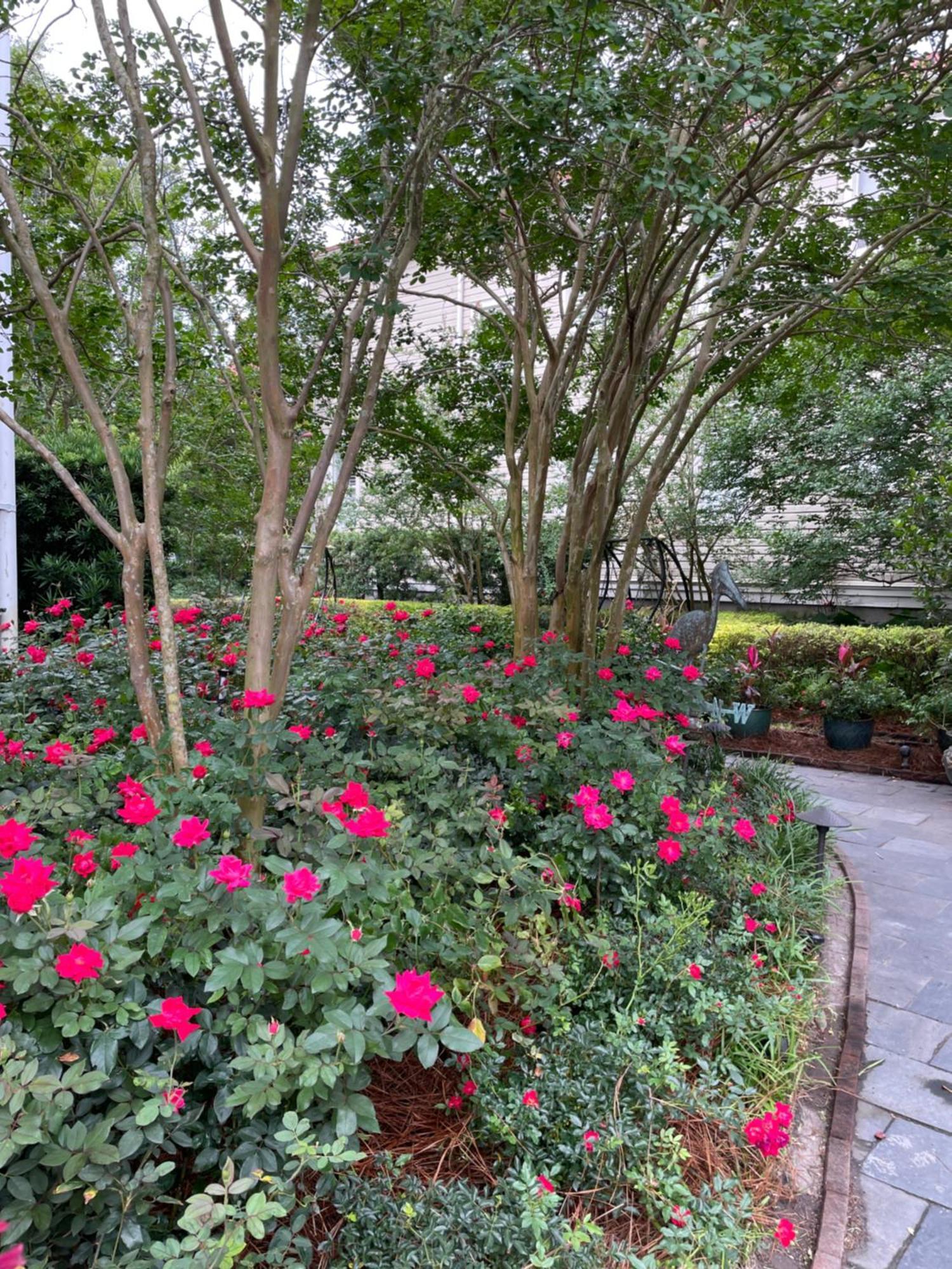 22 Charlotte Bed & Breakfast Charleston Ngoại thất bức ảnh
