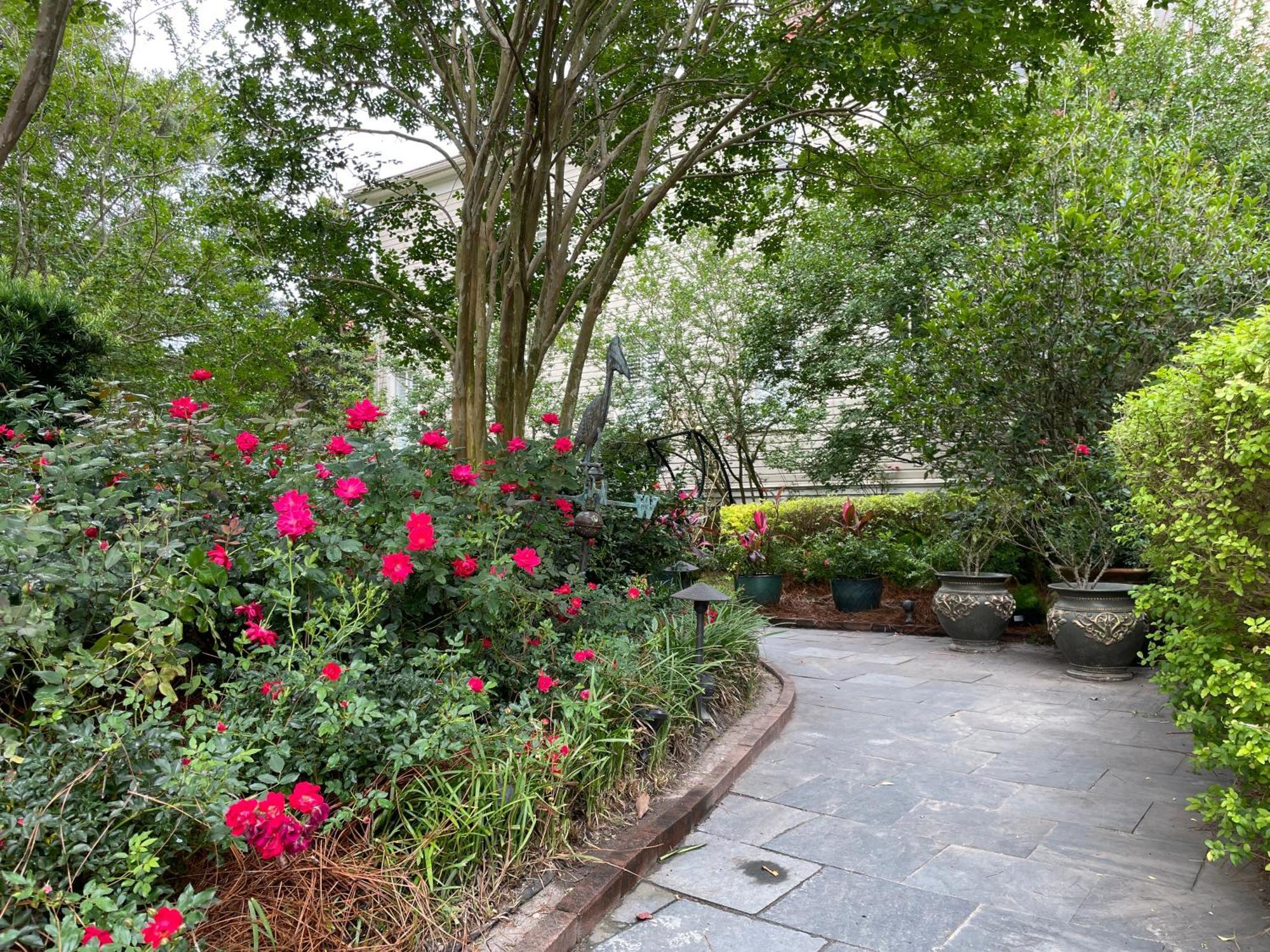 22 Charlotte Bed & Breakfast Charleston Ngoại thất bức ảnh